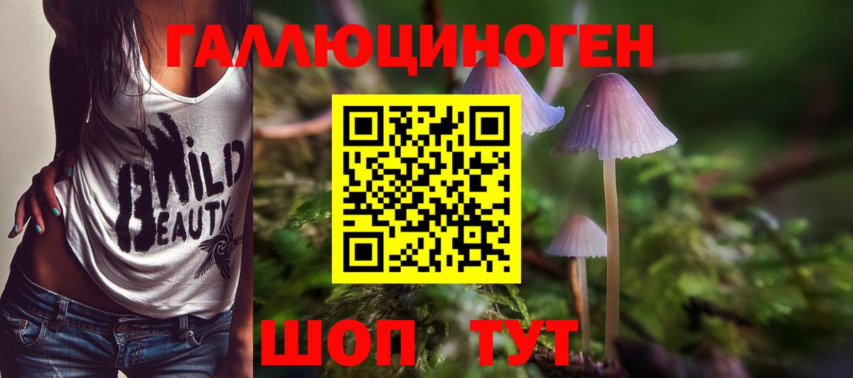 Псилоцибиновые грибы мицелий  Вход с VPN  Лосино-Петровский  Галлюциногенные грибы прущие грибы 